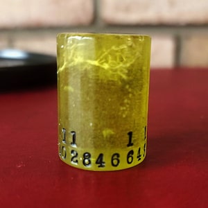 MOSSY POND - Single Roller D20