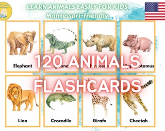 120 Animals Printable Flashcards For Children: Forest Ocean - Etsy België