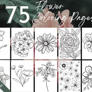 75 Flower Coloring Pages Printable Instant Digital Download Coloring Book for Adult Coloring, Coloring sheets