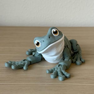 3D Printed Articulated Magnetic Frog – Australian Green Tree Frog Decor, Fidget Toy, and Unique Gift