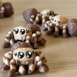 May include: A collection of small, sculpted spider figurines featuring tan and dark brown striped legs, a rounded tan head with large black eyes, and a solid dark brown abdomen. Each spider is crafted with a smooth, matte finish and detailed texture.