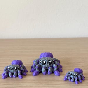 3D Printed Jumping Spider Fidget Toy – Articulated Flexi Spider- NEW SIZES image 16