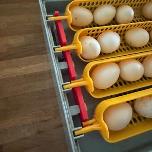 Egg Turner Bar| Maticoopx 20 / 30 | Mikiroy | Zohoko Egg Incubator – 3D Printed Replacement Part | Chick Hatching Accessory | Made in USA