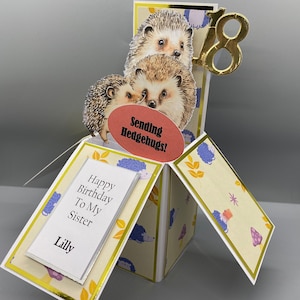 Personalised Hedgehog Pop Up Box Card - Hedgehog Birthday Card - Birthday Card For Her - Female Birthday Card - 3D Birthday Card