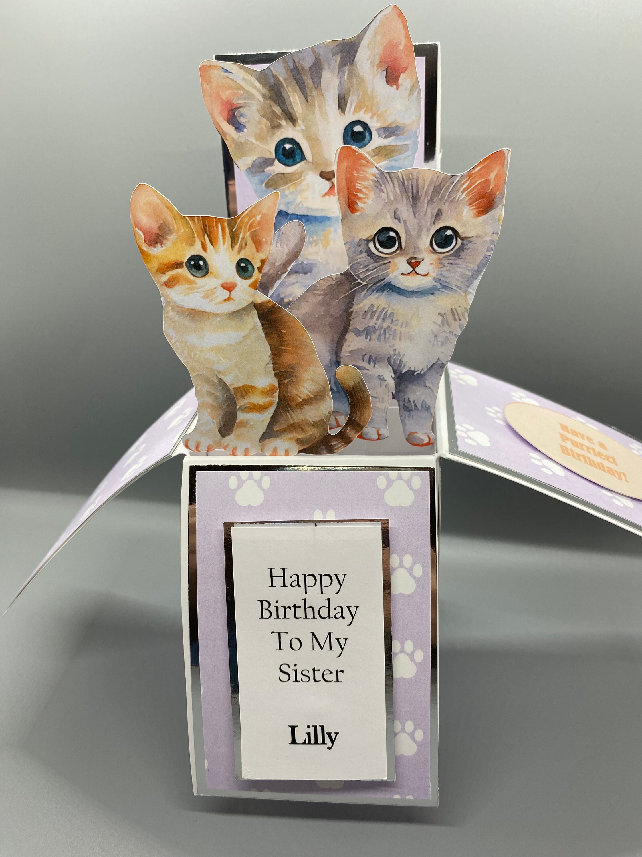 Personalised Cat Pop up Box Card Cat Birthday Card Birthday Card for