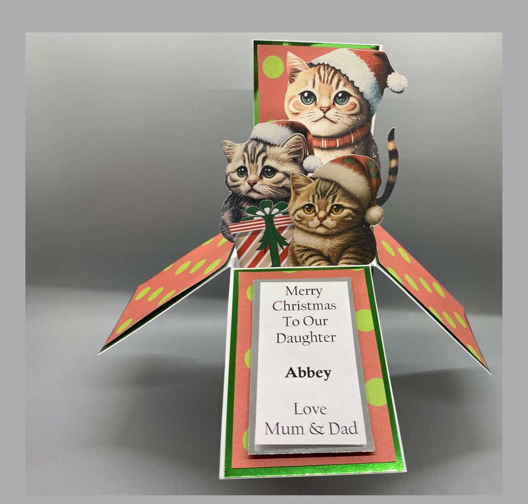 Personalised Christmas Cat Pop up Box Card Cat Christmas Etsy