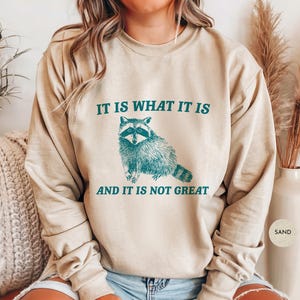 Es lo que es y no es genial Sudadera con capucha de mapache salvaje / Sudaderas divertidas para mujer / Camiseta con gráfico retro vintage de los años 90 con mapache / S72