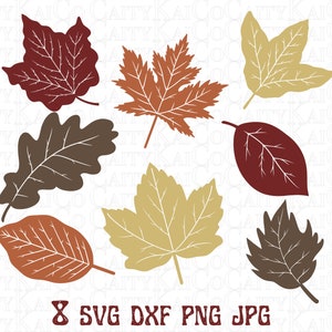 Hojas de otoño svg paquete de 8, hoja de otoño svg, imágenes prediseñadas de hoja de otoño, archivo cortado, dxf, png, halloween svg, svg para máquinas de corte, descargar archivo