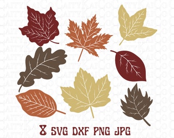 May include: Eight different leaf silhouettes in various colors, including red, brown, orange, and yellow. The leaves are all in a simple, stylized design.
