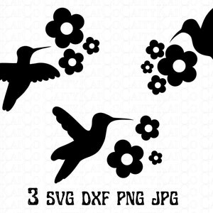Hummingbird svg bundle of 3, hummingbird flower svg, hummingbird silhouette svg, cut file, dxf, png, jpg, instant download file