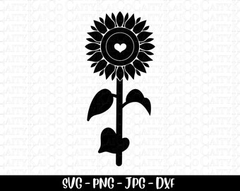 Girasole in formato svg, girasole cuore in formato svg, file di taglio in formato svg, disegno della camicia, dxf, png, jpg download istantaneo