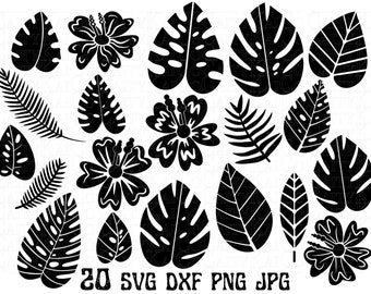 Pacchetto svg di foglie tropicali, 20 piante tropicali svg, foglia di monstera Svg, fiore di ibisco svg, palma, clipart, dxf, png, file di download istantaneo