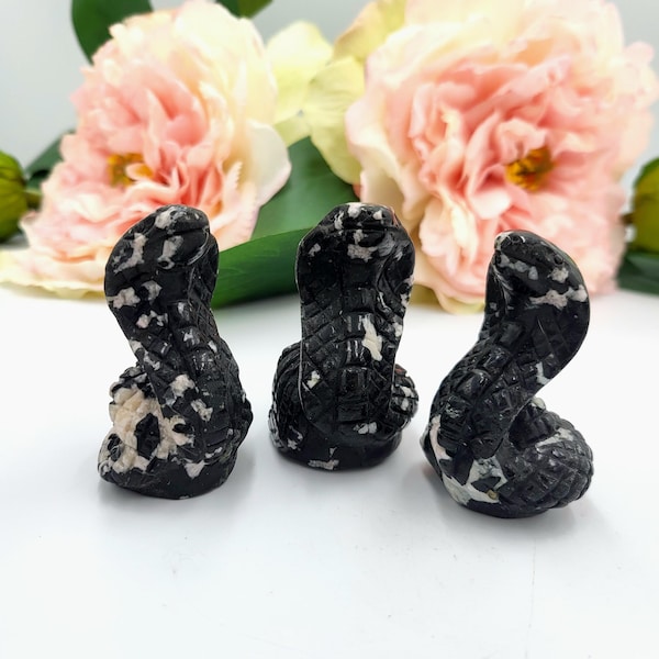 Schwarze Turmalin Schlangen Kristall Carvings - Crystal Snake