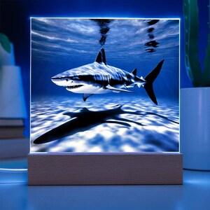 Shark Acrylic Plaque, Shark Night Light, Shark Kid’s Shark Theme Bedroom Decor, Color Changing LED Lights, Shark Gifts, Bar Game Room Signs