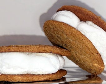 Freeze Dried Large Oatmeal Pies • 2 Count