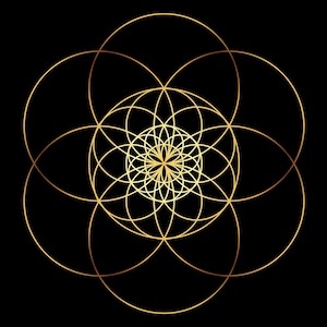 Flower Of Life Shirt, Sacred Geometry Shirt, Spirituality, Festival Shirt, Mandala Tshirt, Psychedelic Shirt, Burning Man, Unisex Tee