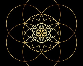 Flower of Life Shirt: Sacred Geometry Mandala Unisex Tee