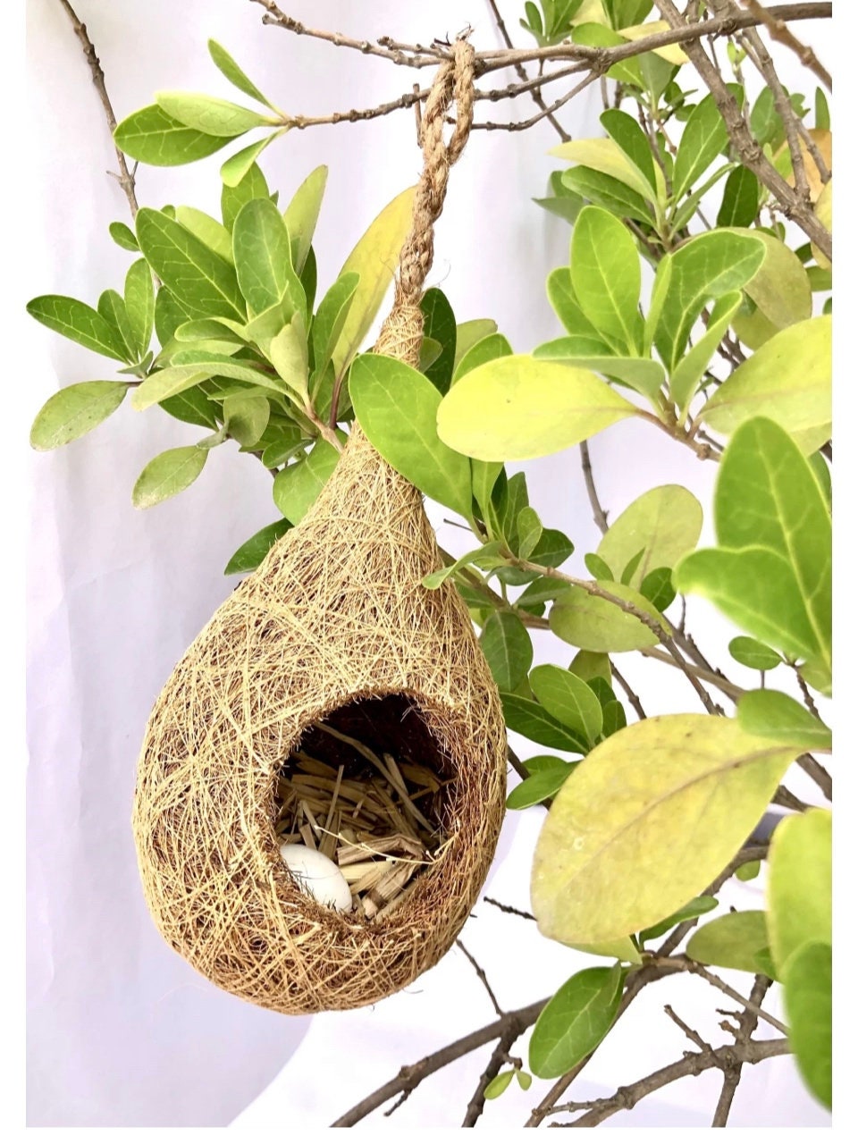 Clear Bird Nest For Cage - Bite-Resistant Transparent Bird House With Warm Plush Mat