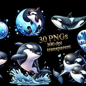 linda orca animal acuarela familia mamá papá madre padre niño bebé PNG