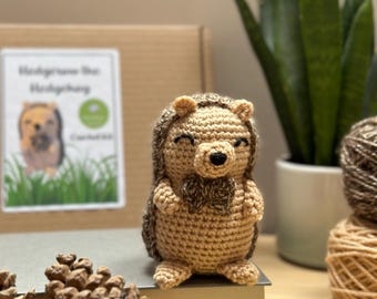 Crochet Kit and Pattern for Hedgerow the Hedgehog, DIY Tool Kit, Learn Crochet Starter Birthday Christmas Gift Idea, Amigurumi Make Your Own