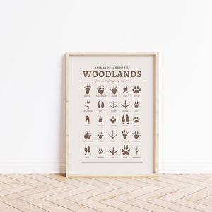 Animal tracks nursery print, Woodland nursery decor, Wall art, Boys room decor, Kids room poster UNFRAMED