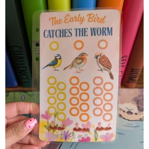 May include: A clear plastic sheet with a colourful illustration of birds and worms. The sheet has a title that reads "The Early Bird CATCHES THE WORM". There are 21 circles on the sheet, divided into three groups of seven. The circles are coloured yellow and orange. The text at the bottom of the sheet reads "1 or 6 2 or 4 3 or 5".