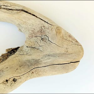 Driftwood branch, Naturalist Home Decor,driftwood decor, aquarium of terrarium decor, coastal style