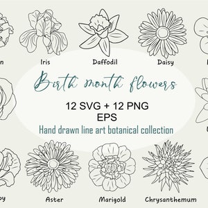 Pacote SVG de flores do mês de nascimento, flor SVG, clipart botânico, flor de aniversário, cabeças de flores svg, clipart de flor, PNG