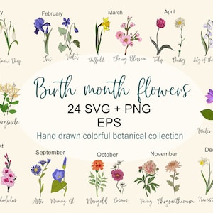 Birth month flowers bundle, Flower PNG, Botanical clipart, Birthday flower, Wildflower svg, Flower Clipart, PNG