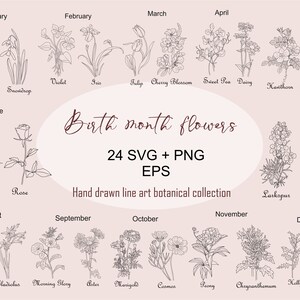 Paquete SVG de flores del mes de nacimiento, flor SVG, imágenes prediseñadas botánicas, flor de cumpleaños, flores silvestres svg, imágenes prediseñadas de flores, PNG