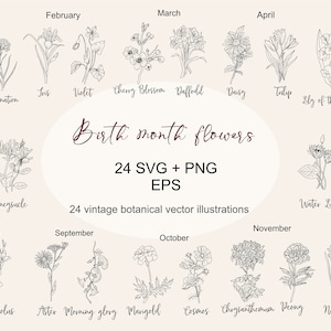 Pacote SVG de flores do mês de nascimento, flor SVG, clipart botânico, flor de aniversário, flores silvestres svg, clipart de flores, PNG