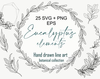 Eucalyptus Line Art SVG Bundle: Floral Illustrations (Digital Download)