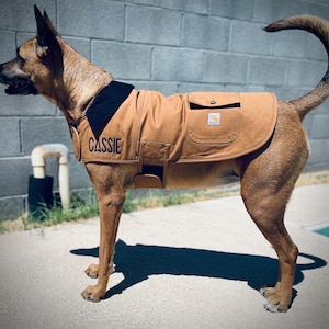 Dog Coat | Carhartt Dog Chore Coat | Custom Embroidered