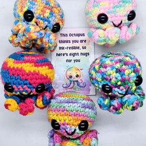 Aangepaste Worry Buddy Octopus, stress huisdier, gehaakte zakknuffel, zorgen huisdier, motiverende citaat, geestelijke gezondheid, aanmoediging cadeaubon
