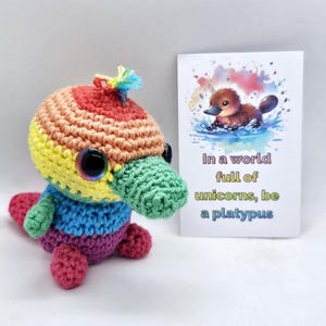 Aangepaste stress zorgen huisdier vogelbekdier cadeau, emotionele steun haak, angst geestelijke gezondheid cadeau, positief cadeau, aanmoediging cadeaubon