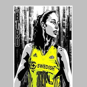 Sue Bird - Seattle -- 13x19 Basketball Wall Art Poster / Print -T1