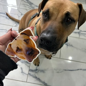 Custom Dog or Cat Car Air Freshener - Personalized Pet Photo Freshie - Memorial Gift for Pet Lovers image 4