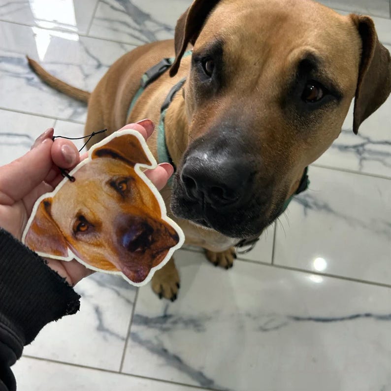 Custom Dog or Cat Car Air Freshener - Personalized Pet Photo Freshie - Memorial Gift for Pet Lovers image 4
