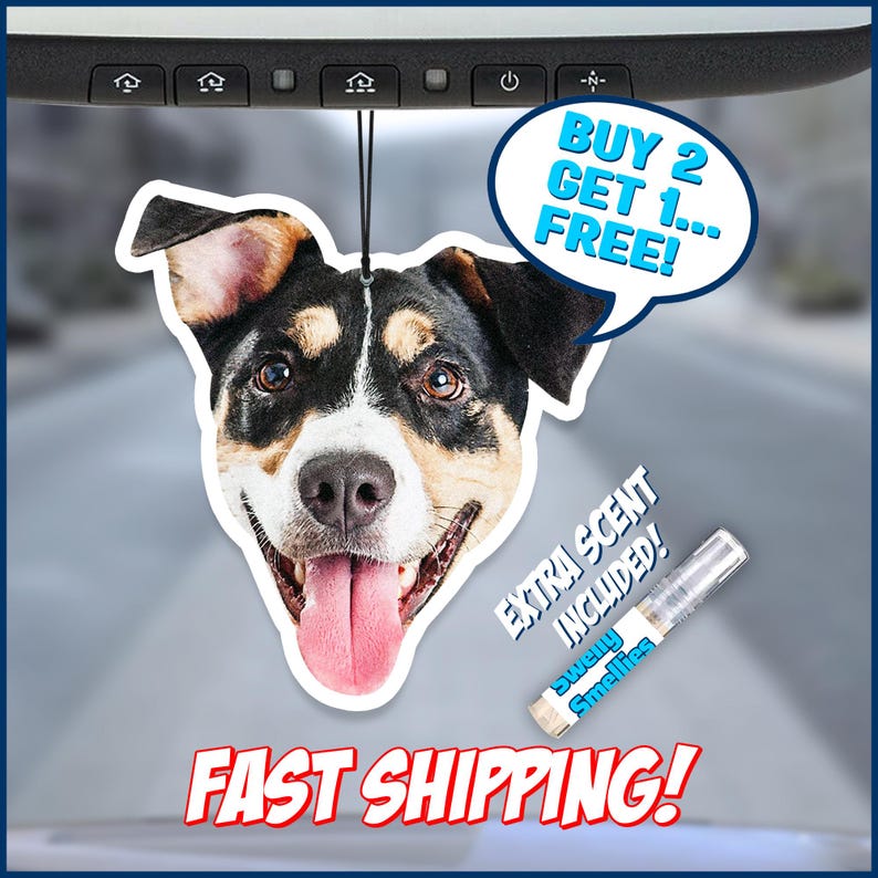 Custom Dog or Cat Car Air Freshener - Personalized Pet Photo Freshie - Memorial Gift for Pet Lovers image 8