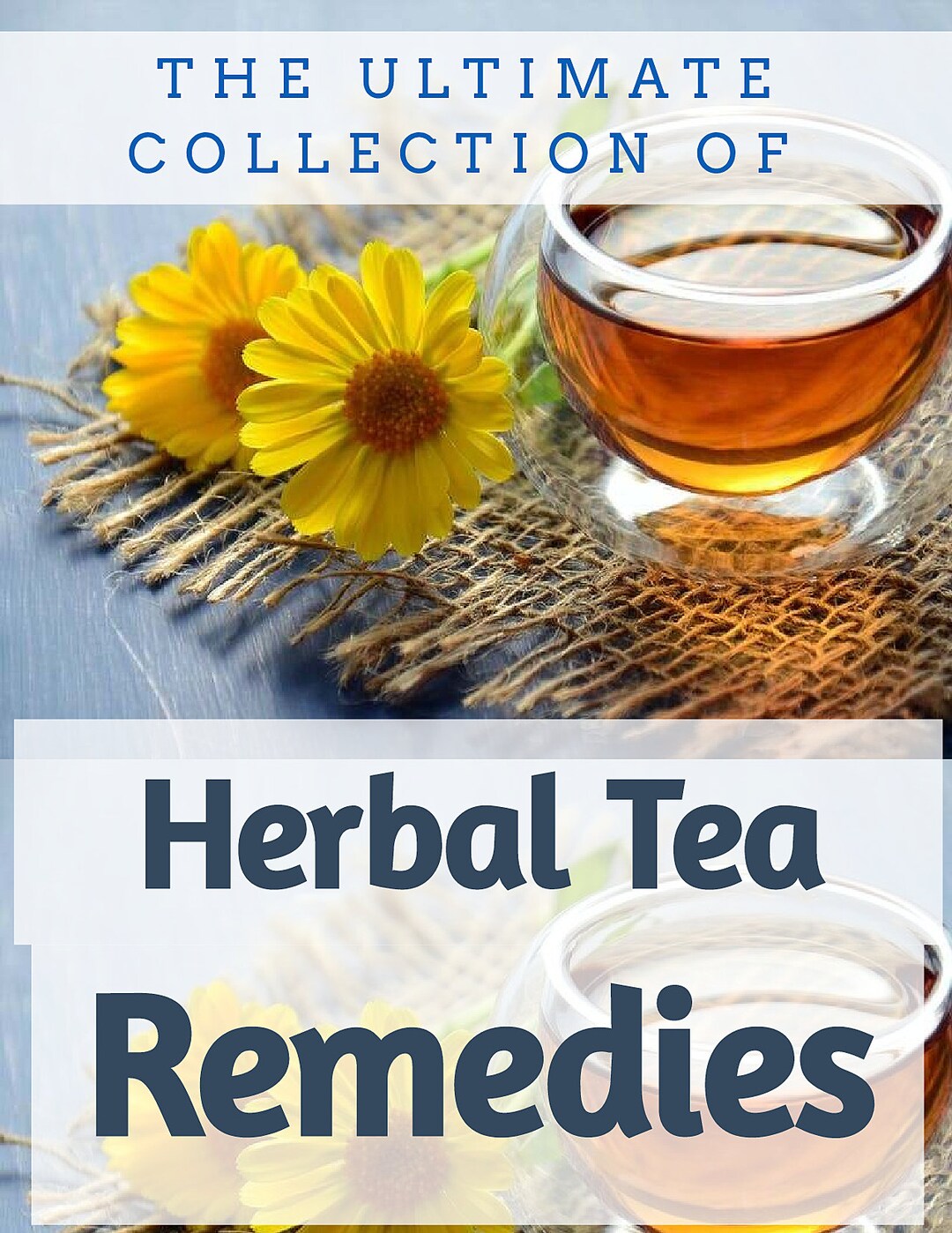 The Ultimate Collection of Herbal Tea Remedies Natural Health Etsy