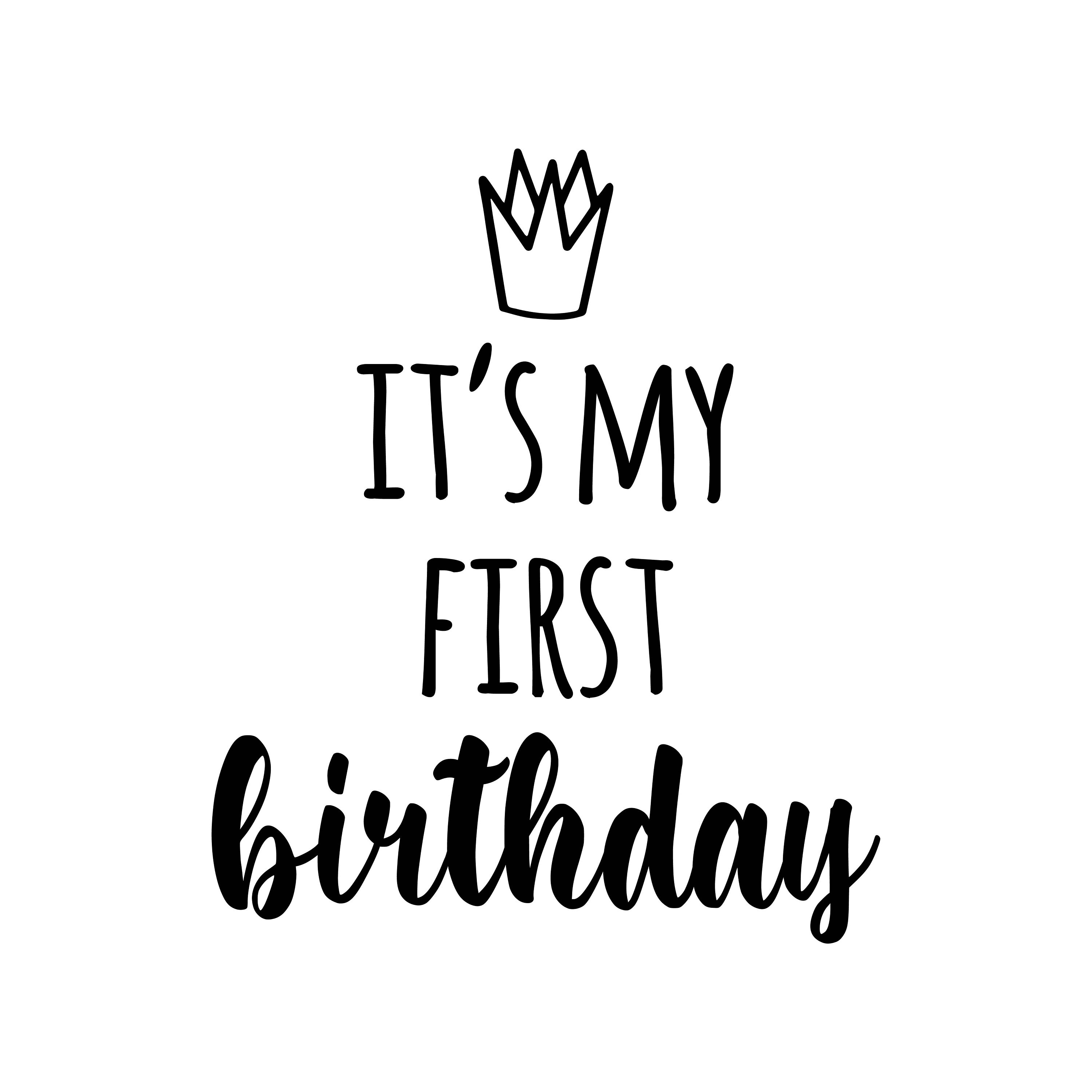 It's My First Birthday Shirt SVG First Birthday - Etsy