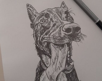 Custom Hand Drawn Pet Portrait/ Sketch from Photo / Dog Drawing / Cat Sketch / Personalised Gift