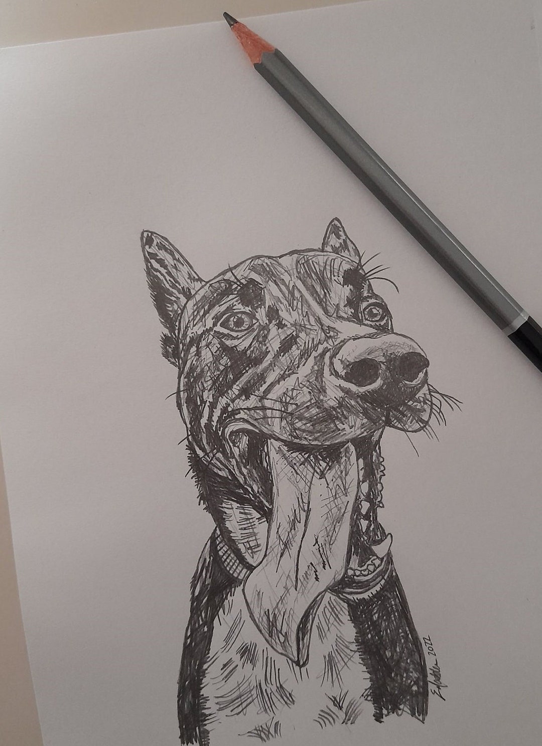 Custom Hand Drawn Pet Portrait/ Sketch From Photo / Dog Drawing / Cat ...