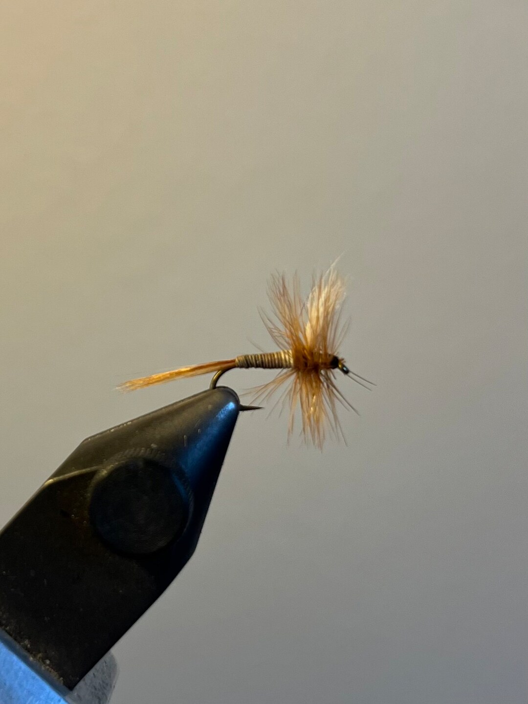 Ginger Quill Mayfly Dry Fly Etsy