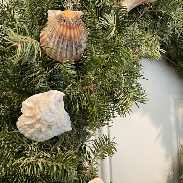 Handmade shell wreath picks, natural seashells in different varieties, coastal and rustic holiday decor