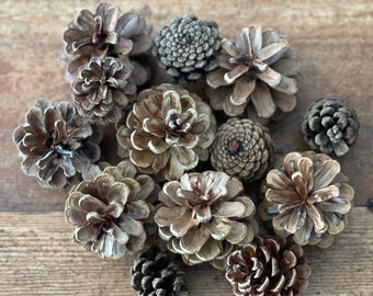 Pine cones, natural dried and untreated Red Pine cones, rustic crafting supplies, holiday, home decor, weddings, parties, DIY crafts