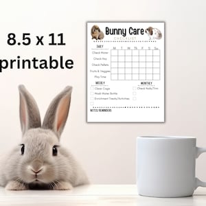 Rabbit Checklist.pdf Bunny Rabbit Care Checklist, Daily Pet Sitter Printable (8.5x11 PDF) - Etsy
