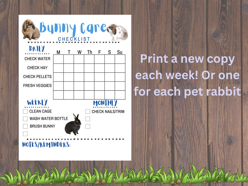 Bunny Chore Chart Printable | Rabbit Care Checklist (PDF Download) - Etsy