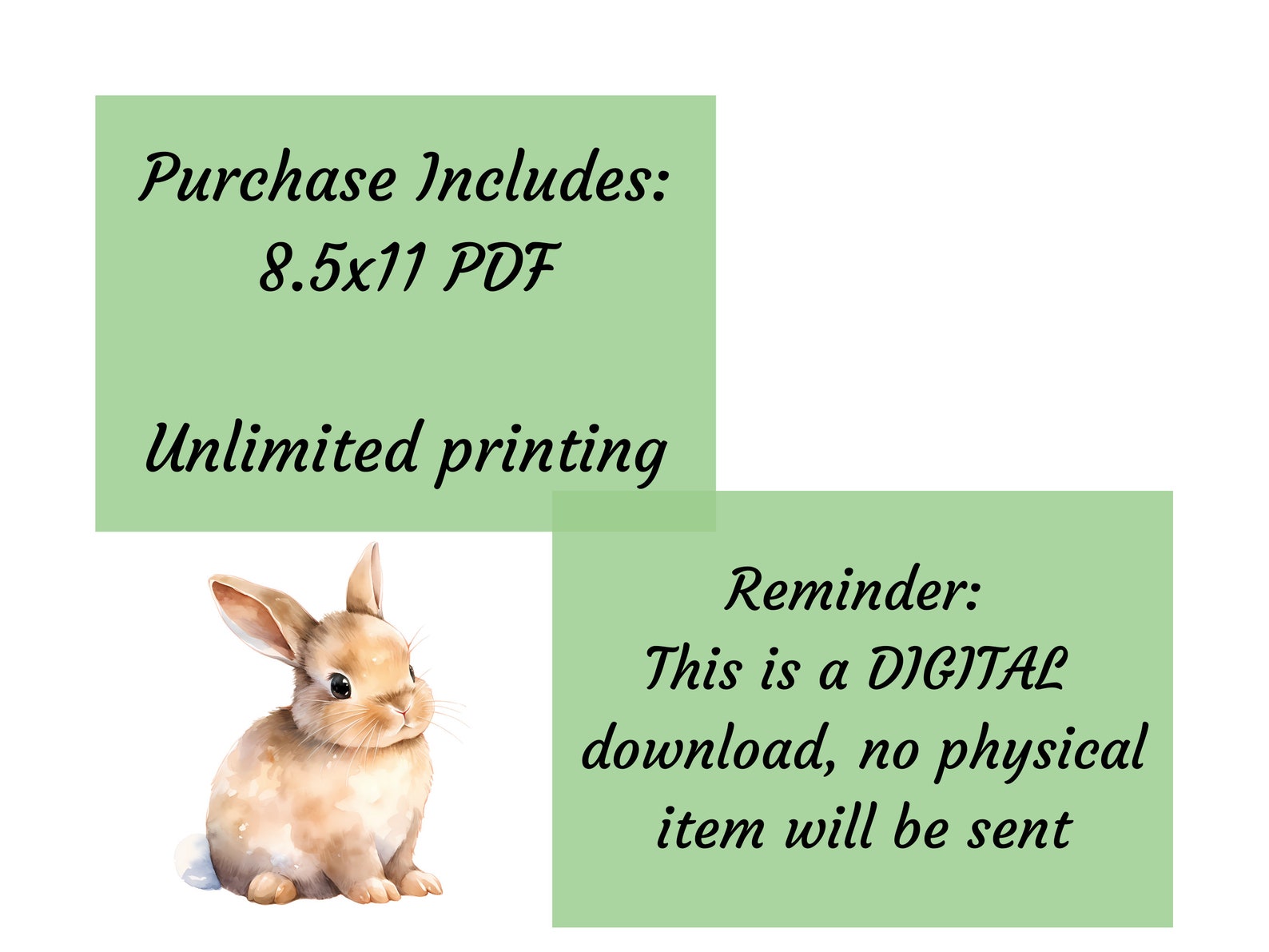 Printable Rabbit Care Bunny Chore Chart Printable - Rabbit Care List for Kids, Adults or ...