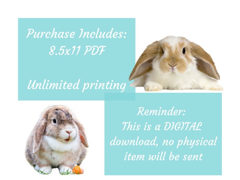 Bunny Chore Chart Printable | Rabbit Care Checklist (PDF Download) - Etsy